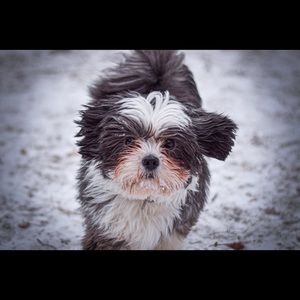 Meet your Posher, Kevin